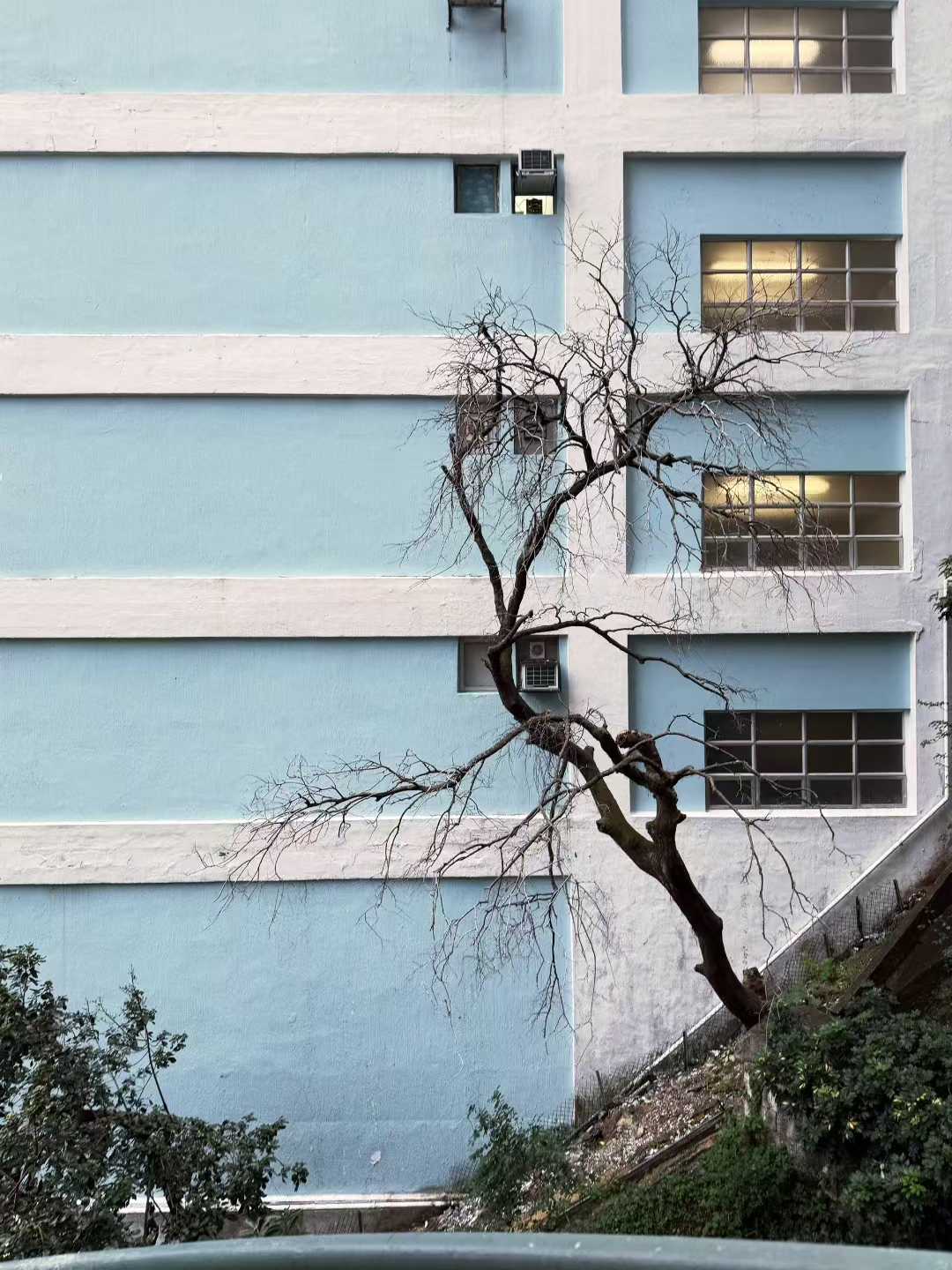HK photo 3