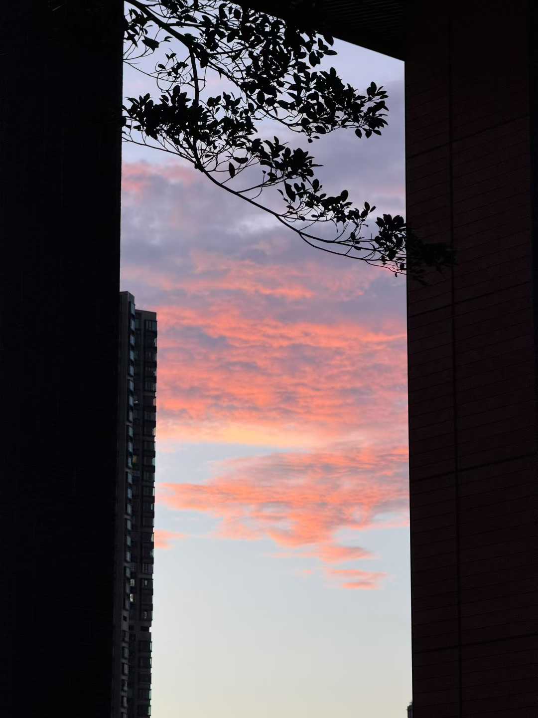 HK photo 7