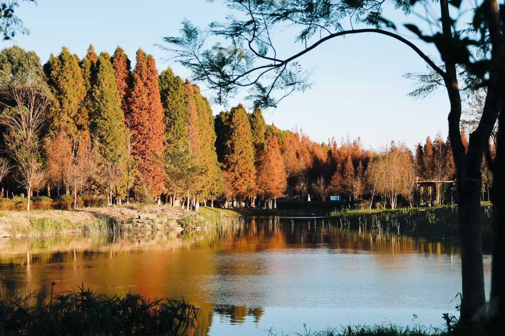 Weixin photo 4