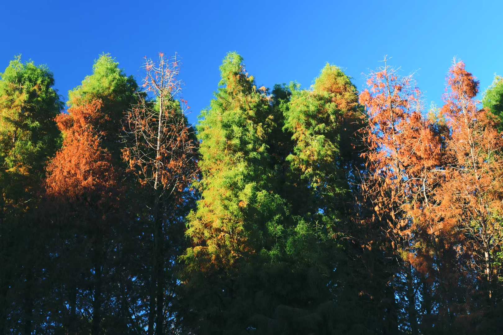 Weixin photo 6