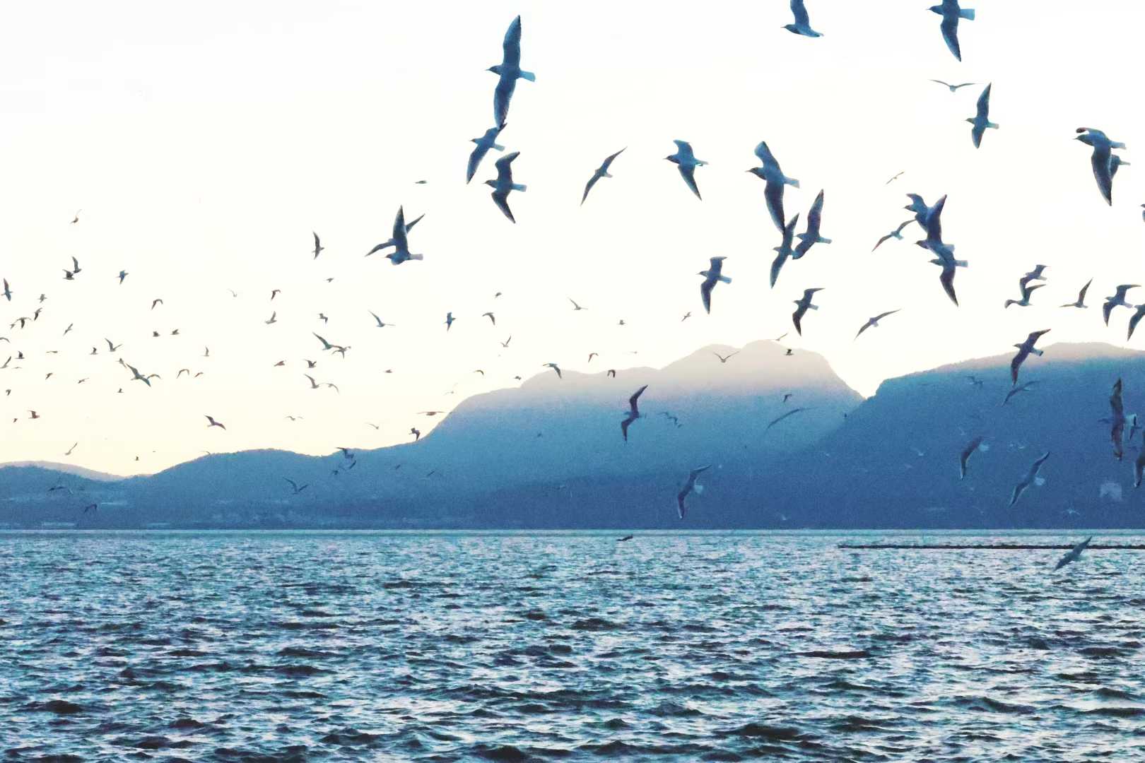 Weixin photo 9